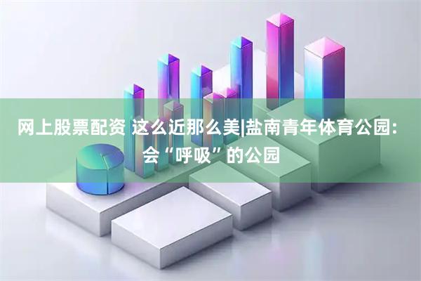 网上股票配资 这么近那么美|盐南青年体育公园: 会“呼吸”的公园