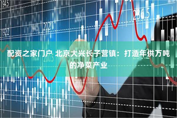 配资之家门户 北京大兴长子营镇：打造年供万吨的净菜产业